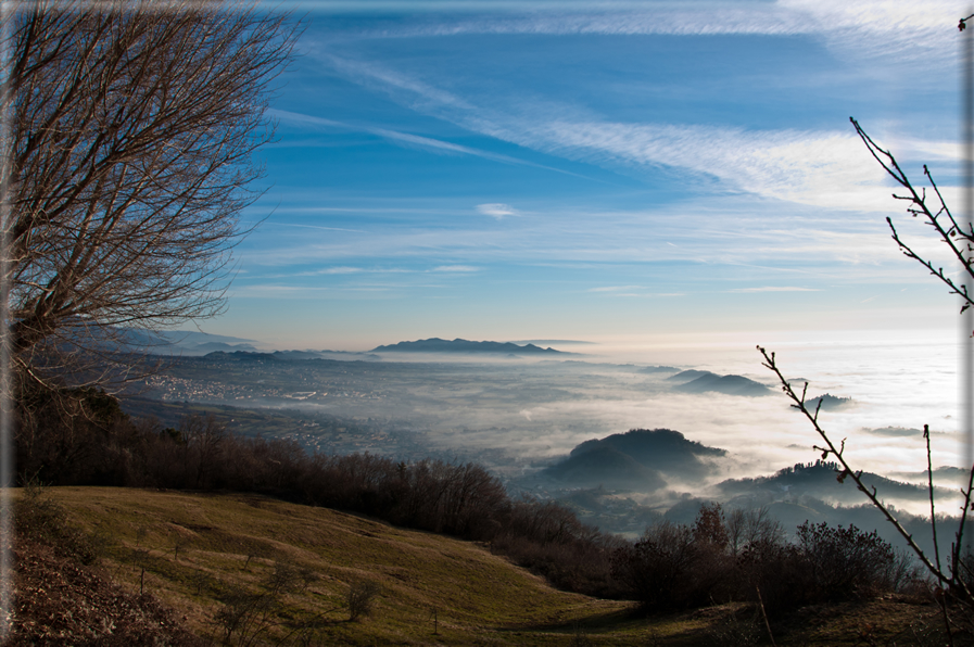 foto Colline di Romano d'Ezzelino nella Nebbia